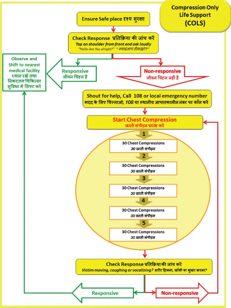 COLS algorithm
